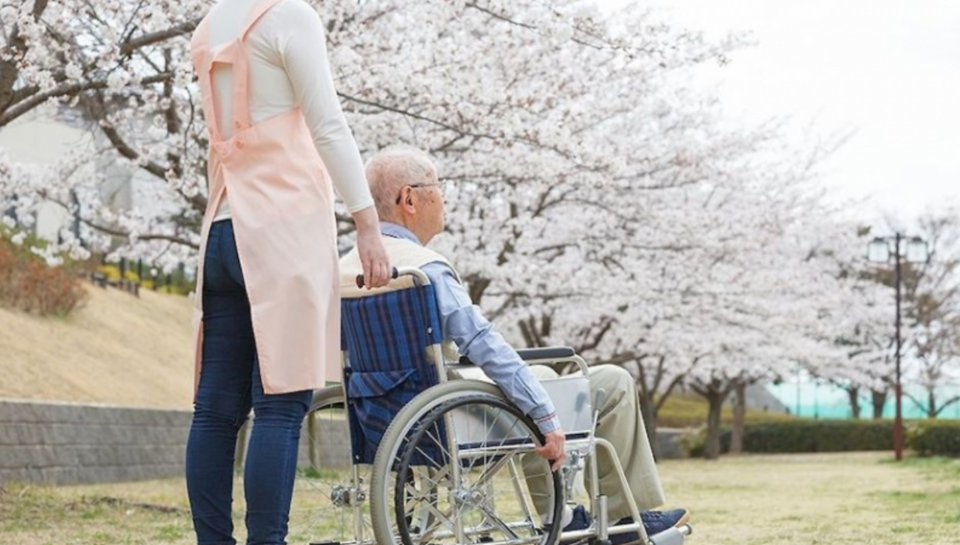 '발달장애인 요양보호사 보조일자리'는 발달장애인을 요양보호사의 전반적인 업무를 지원하는 일자리에 배치해 직무능력 습득 및 일자리 경험을 제공하는 사업이다. 일자리는 민간 위탁 혹은 지자체에서 직접 수행한다. /연합뉴스