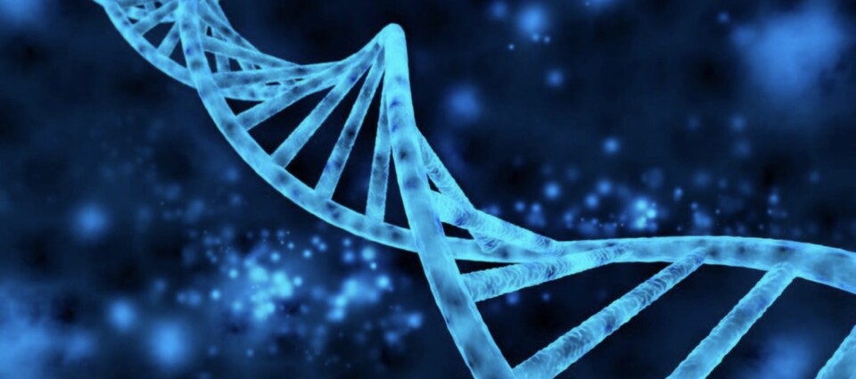 유전자 /게티이미지뱅크