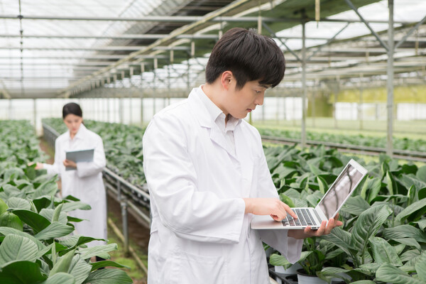 청년 농업인에게는 월 110만원에서 90만원까지 연차별로 지급해 주는 제도를 시행한다. 기반이 약한 청년들에게 기초적인 금액을 지급해 주는 제도라서 매우 유용하다. /게티이미지뱅크