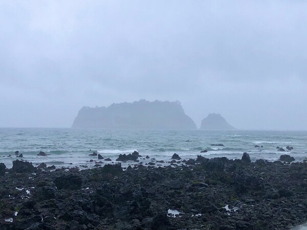 어둠의 먹물이 채 가시지 않는 새벽의 비바람에 반투명으로 가려진 범섬을 바라보는 바닷길은 현무암 무심한 바위들이 검은 잡초처럼 무성하고, 초여름 빗줄기는 내 지난 추억의 세포들을 불러 깨웁니다. 제주도 비 오는 날의 범섬 /사진=최익준