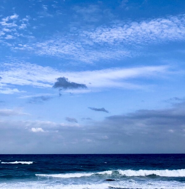 바다는 반복된 일상에 지쳐 찾아가는 나에게 집 나간 내 인생의 소명을 불러일으켜 "정신 차려 이 녀석아~" 하며 영혼의 귀싸대기를 갈겨 주고 보듬어 준 우주의 정령이었지요. 서귀포의 바다 /사진=최익준