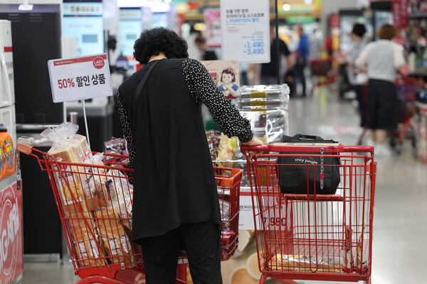 대형마트에서 한 고객이 장을 보고 있는 모습 /연합뉴스