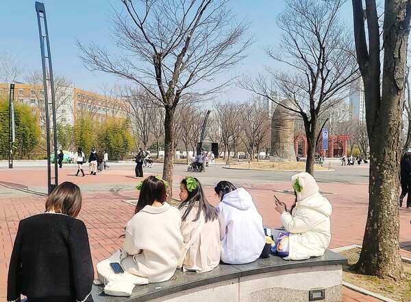 가수 백현의 콘서트장에 등장한 상추 머리핀 /사진=홍미옥