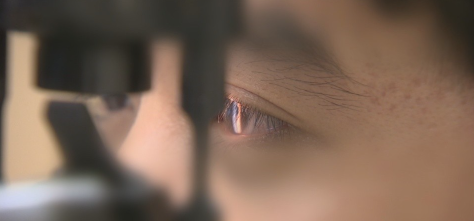 셀트리온과 삼성바이오에피스가 국내 '아일리아' 바이오시밀러 시장 경쟁에 본격적으로 뛰어든다. /연합뉴스