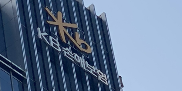 올해 1분기 KB손보와 KB라이프생명의 합산 당기순익은 3956억원으로 KB금융 전체 당기순익(1조491억원)의 37.7%가 보험업에서 발생한 것으로 나타났다. /연합뉴스