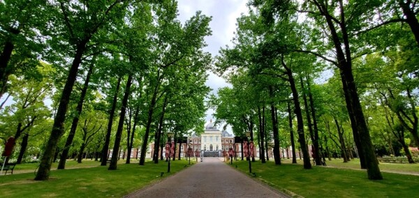 하우스텐보스 안에 있는 미술관 입구. 길 끝에 미술관이 있다. 연일 비가 내려서 나무들이 생생하다. /사진=양은심