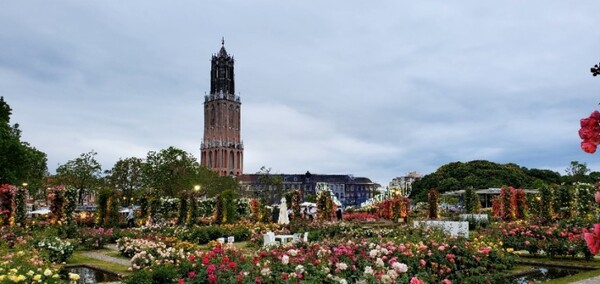 장미 축제 중이던 2022년 5월 하우스텐보스의 '그랜드 로즈 가든' 모습 /사진=양은심