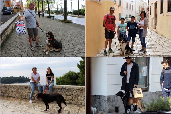 대부분의 개는 주인에게 보조를 맞춘다. 개가 인간과 함께 살려면 길들여야 하지만, 인간 편의에 맞추어 길들일 것인가, 자연의 일부로서 인간과 함께 살 수 있도록 길들일 것인가. /박헌정