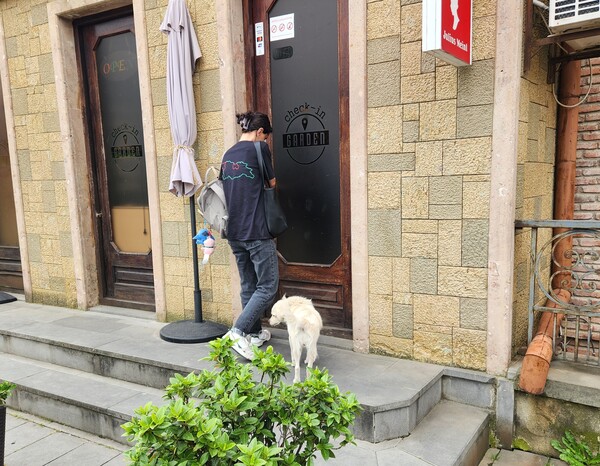 물론 길거리 개만 있는 건 아니다. 집마다 개를 많이 키우니 길거리 개도 많아졌을 것이다. /박헌정