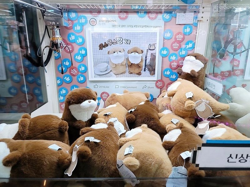 인형뽑기점에서 최고의 인기인 인형들 /사진=홍미옥