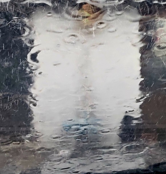 폭우가 쏟아지는 차창 앞에 펼쳐진 모네풍 풍경 /사진=한익종