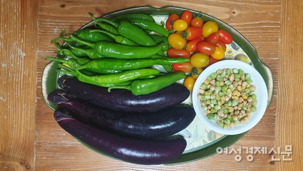 씨앗 값에 이자를 더하여 은혜를 갚고 /박종섭