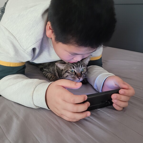 손자네 고양이는 사람에게 길들여 자신이 사람이랑 서열이 같은 줄 안다. /사진=송미옥