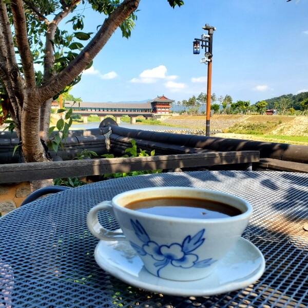 월정교를 발견했을 때의 기분이라니. 6월 말이었지만 강바람이 시원해서 테라스석도 좋았다. /사진=양은심 