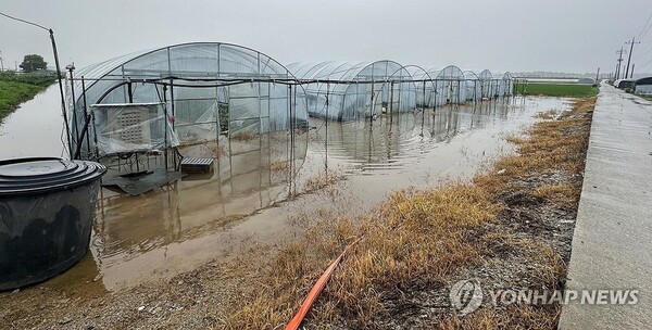 10일 내린 폭우로 전북 익산시 망성면 한 시설하우스가 물에 잠겨 있다. /연합뉴스