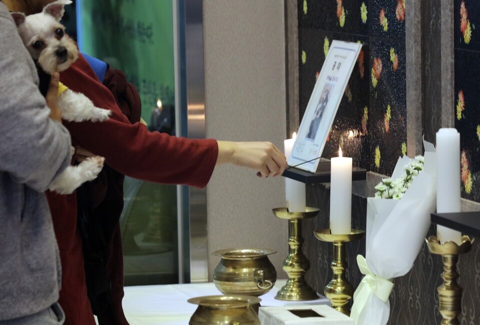 국내 반려동물 사체의 매립은 불법이지만 직접 매장하는 경우가 가장 많은 것으로 나타났다. 불법 장묘업체는 규제가 안 돼 소비자‧환경 피해가 잇따른다는 지적이 나온다. /연합뉴스