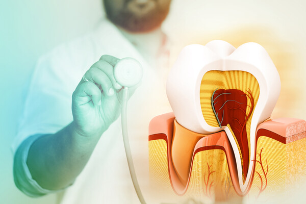 치아 안에서도 피가 흐른다는 사실을 아십니까? /게티이미지뱅크