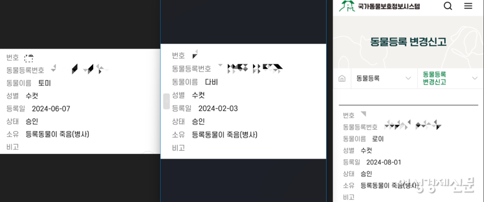 국가동물보호정보시스템에 '사망' 등록된 제보자 이 씨의 반려견. /제보자 제공