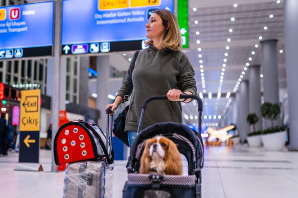요즘은 공항에서 주인과 비행기를 같이 타고 여행 가는 반려동물을 자주 본다. /게티이미지뱅크