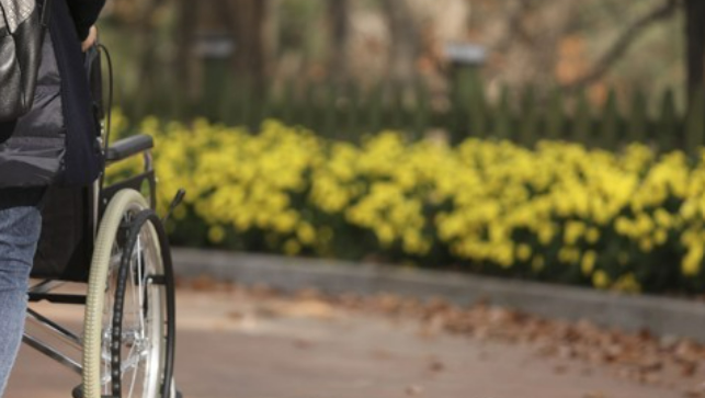 서울시가 장애인들이 자신의 장애 유형과 정도에 따라 필요한 복지서비스를 직접 신청하는 '개인 예산제' 시범 사업 참가자를 모집할 예정이다. /연합뉴스