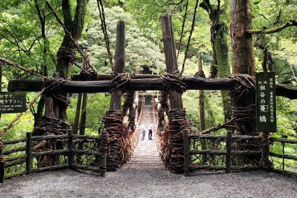 어르신 두 분이 조심조심 건너오고 있다. 화이팅!/사진=양은심