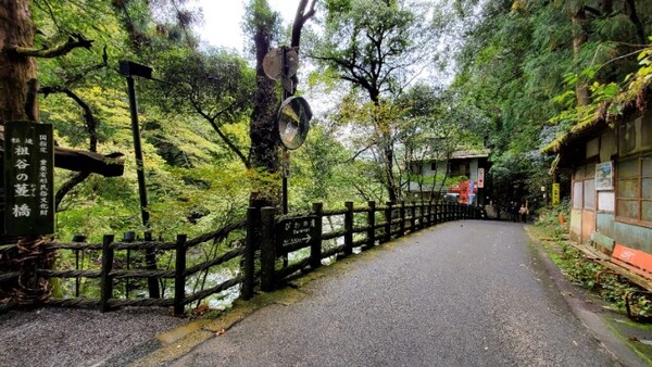 '비와 폭포' 가는 길 /사진=양은심