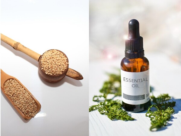 미국과 유럽에서는 참기름을 미용 용도로 사용한다. /픽사베이