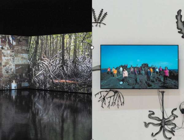 식물과 인류, 문명과 자연 현상, 식민주의와 생태의 다면적인 연결 고리를 탐구하는 이끼바위쿠르르 팀의 ‘열대 이야기’(좌, KF 갤러리)와 ‘해초 이야기’(우, ACC 6관)가 광주비엔날레 KF-GB 파빌리온을 통해 서울과 광주에서 동시에 전시된다. /사진 제공=KF갤러리