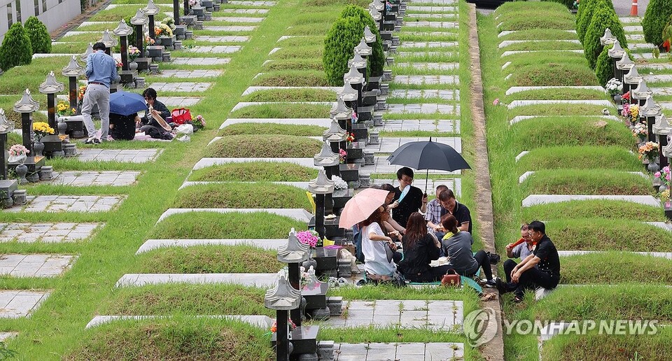 후손들의 성묘 모습 /연합뉴스