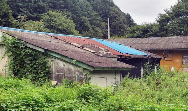 수풀 무성한 경기도 가평군 북면 빈집 /연합뉴스