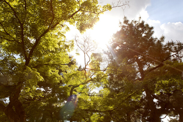 계절이 바뀌면 몸도 마음도 다시 한번 각성한다. 넉넉하게 바라보고 나눌 수 있는 가을이 왔다. /게티이미지뱅크