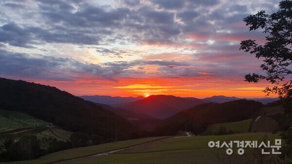 안반데기 아침은 새로운 시작을 알린다. /박종섭