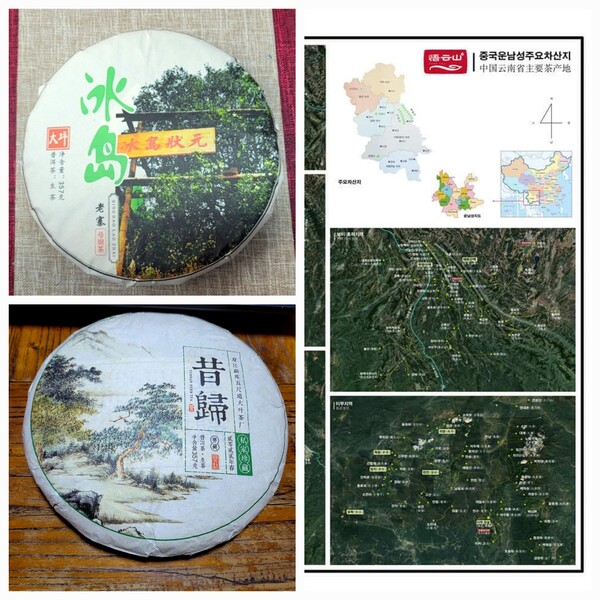 헤아리기 어려울 만큼 많은 차 산지에서 보이차가 만들어진다. 보이차의 대표급 차로 꼽을 수 있는 빙도노채와 석귀, 유명 산지일수록 유통되는 양이 생산량의 몇 곱절이 된다고 한다. 차를 만드는 차창의 지명도보다 찻잎 자체에 무게가 실리는 보이차는 순수함과 장삿속이 공존한다. /김정관