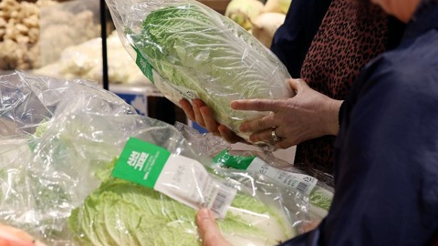 11월 배추 포기당 가격이 5000원을 넘을 것으로 예측됐다. /연합뉴스