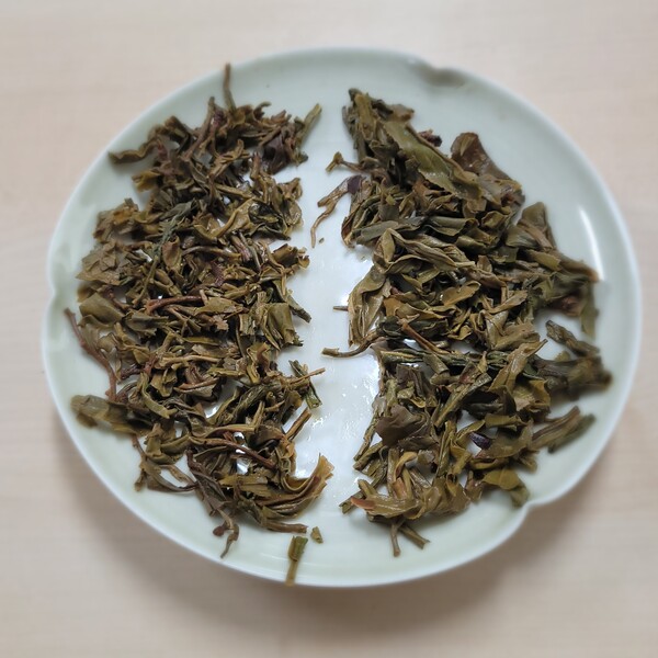 차를 우리고 나서 찻잎을 살피는 것도 보이차의 정체를 알 수 있는 방법이다. 마른 차를 넉넉하게 넣고 세 탕 정도 우린 뒤에 찻잎을 어린잎과 큰 잎으로 나눈 다음 각각 우려서 음미해 보면 향미가 어떻게 다른지 알 수 있다. /김정관