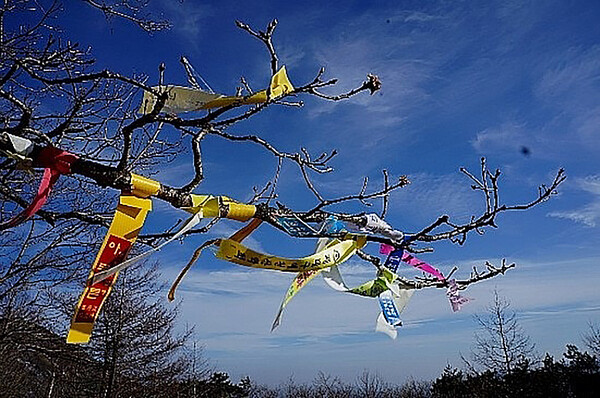 등산로에 주렁주렁 매달린 동호회 리본들. 자기 좋다고 다른 대상에게 피해를 주는 행위는 삼가야 한다. /사진=한익종