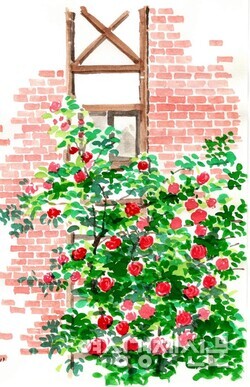 어머니 주방 창에 핀 장미꽃 /그림=손웅익