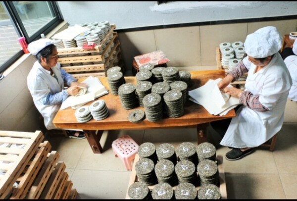 쇄청모차는 덩어리 차로 만드는 별도의 공정을 거쳐 형태에 따라 동그란 모양의 병차, 벽돌 모양의 전차 등으로 포장되어 보이차라는 이름으로 유통된다. /사진 출처=다음카페 '대평보이차'