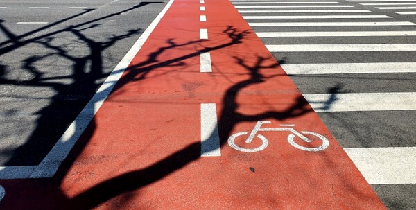 보도 옆의 자전거 길 /사진=한익종