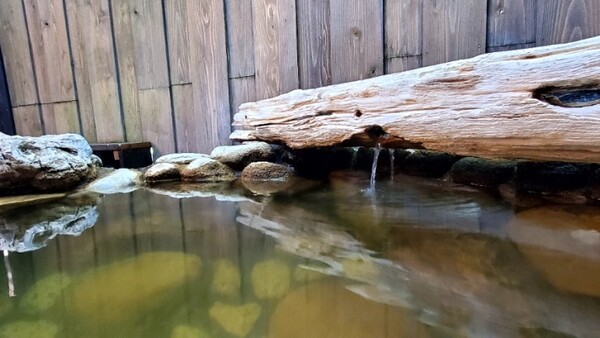 오롯이 고요한 시간을 보낼 수 있었던 전세탕 /사진=양은심