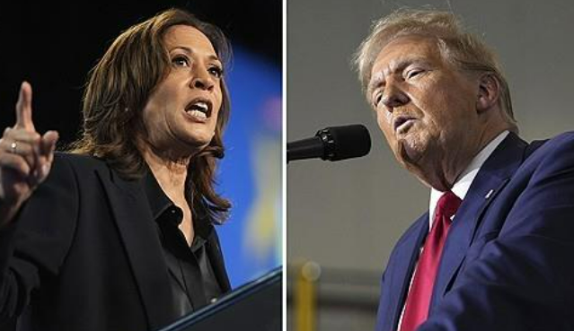 미국 대선 결과에 한국이 촉각을 곤두세우는 가운데 선거 결과는 도널드 트럼프 공화당 후보의 우위로 나타났다. /연합뉴스