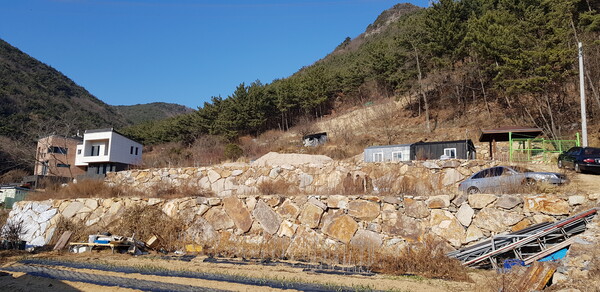 동서로 긴 땅을 5년 만에 찾았다는 필자가 설계했던 양산 심한재 집터, 도로가 동쪽에 있지만 건축주는 정남향 집을 지어 살 수 있는 복을 누리게 되었다. /김정관