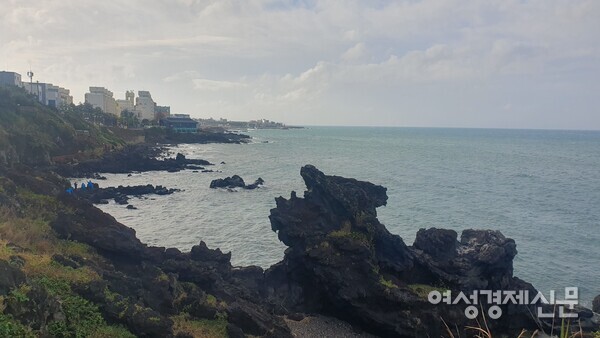 제주를 굳건히 지키고 있는 용두암 /박종섭