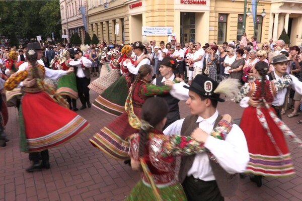 귀족적인 문화가 일상에 배인 헝가리/ 헝가리 무곡, 브람스 음반 표지