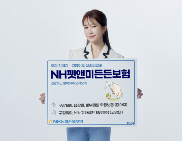 /NH농협손해보험