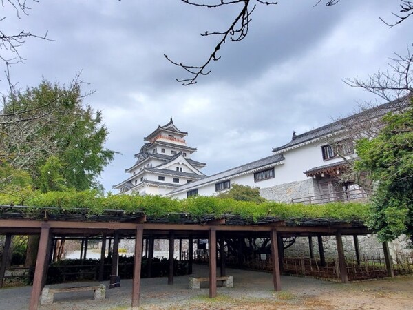 등나무 터널 너머로 보이는 가라쓰 성 /사진=양은심