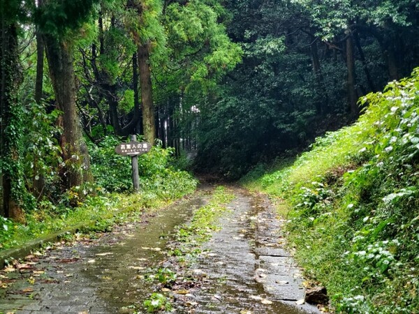 '고려인의 묘' 팻말이 보인다. /사진=양은심