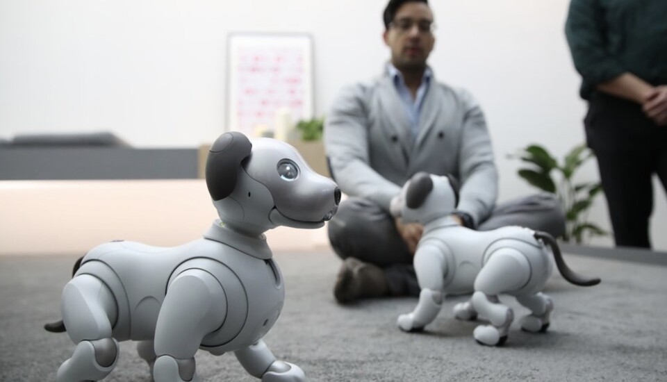 세계 최대 가전·IT 박람회인 'CES(Consumer Electronics Show) 2018'이 개막한 지난 2018년 1월 9일 오후(현지시간) 미국 라스베이거스 컨벤션센터(LVCC) 소니 전시장에서 로봇 강아지 '아이보'가 시연되고 있다. /연합뉴스