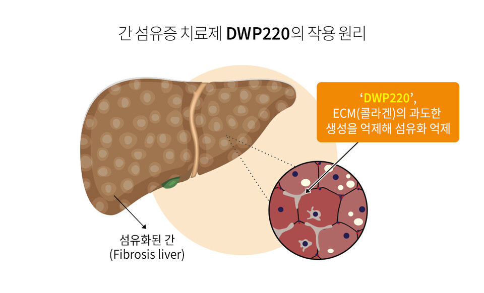 DWP220의 작용 원리 /대웅제약 제공