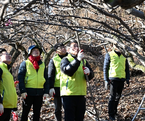 /NH농협손해보험